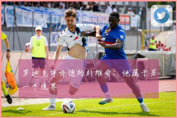 罗迪克评价德约科维奇：他属于另一个境界