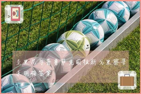 圭里尼与普鲁萨克前往新戈里察寻求明确答案